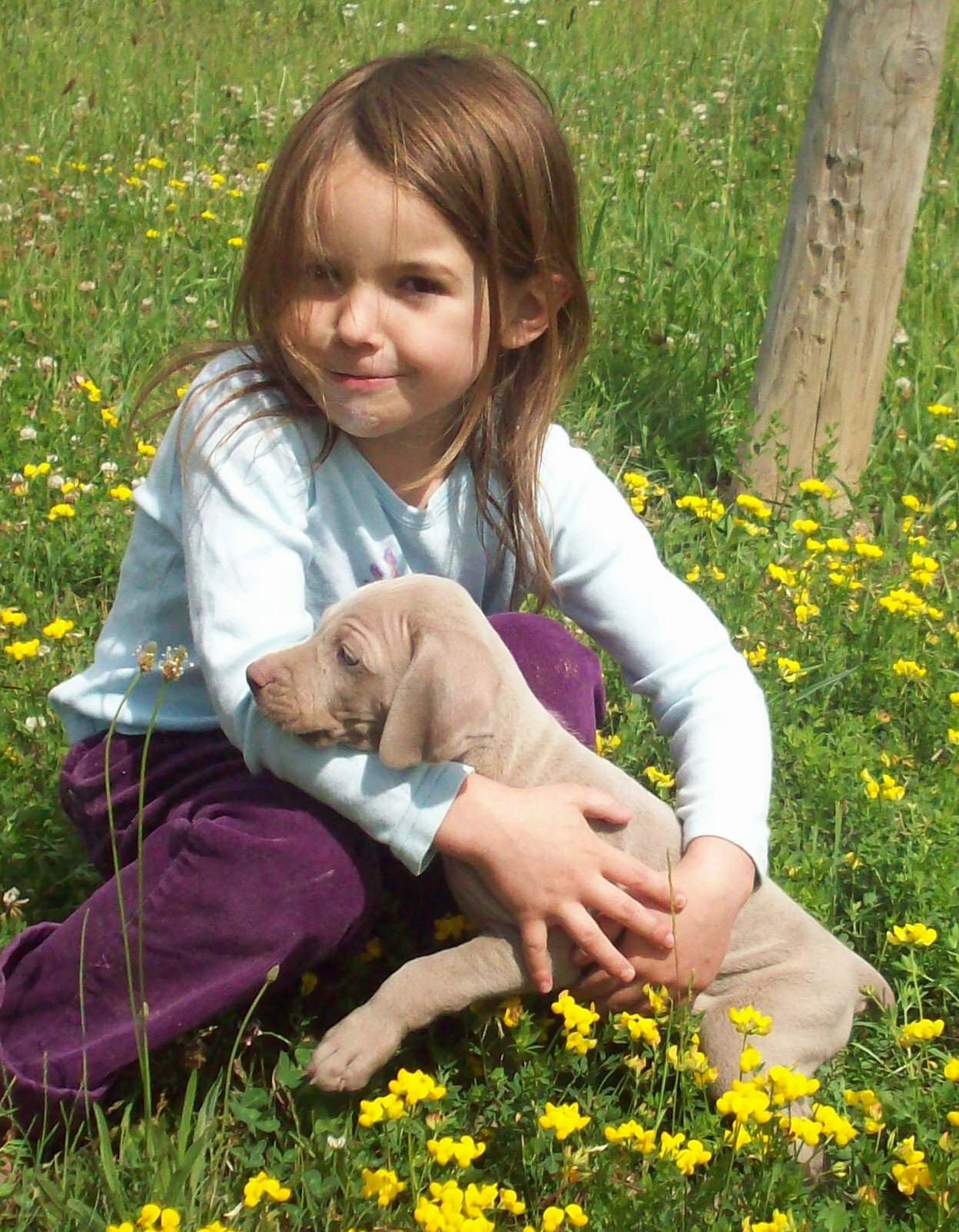 libbyandcreamycropped.jpg