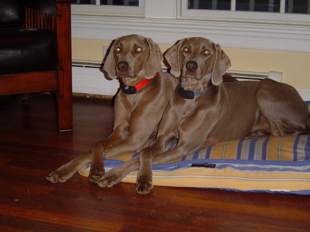 twocrossinglegs.jpg